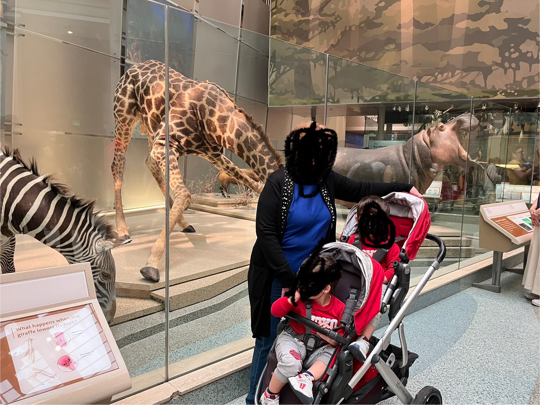 Coche Uppa Vista Doble