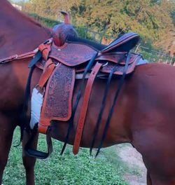 Horse saddle
