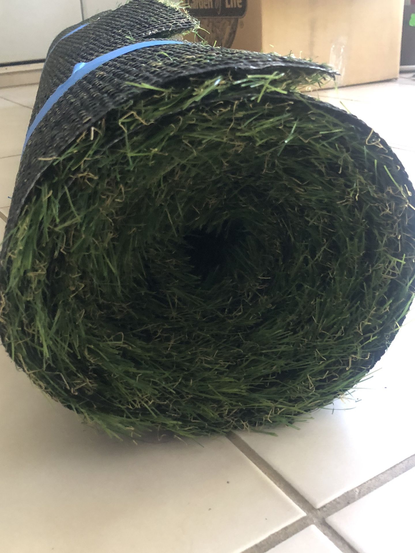 Turf Grass 5x10