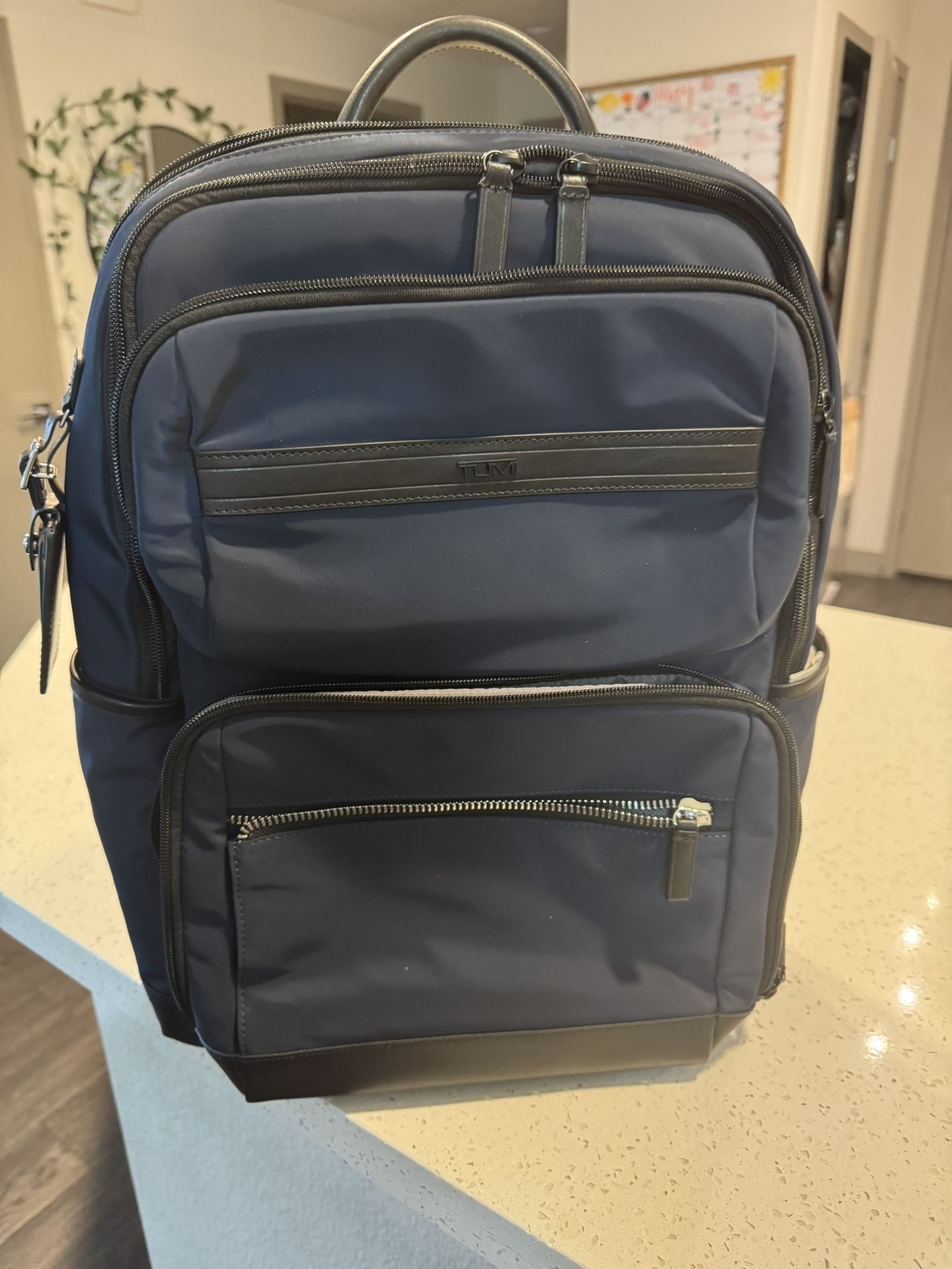 Tumi backpack