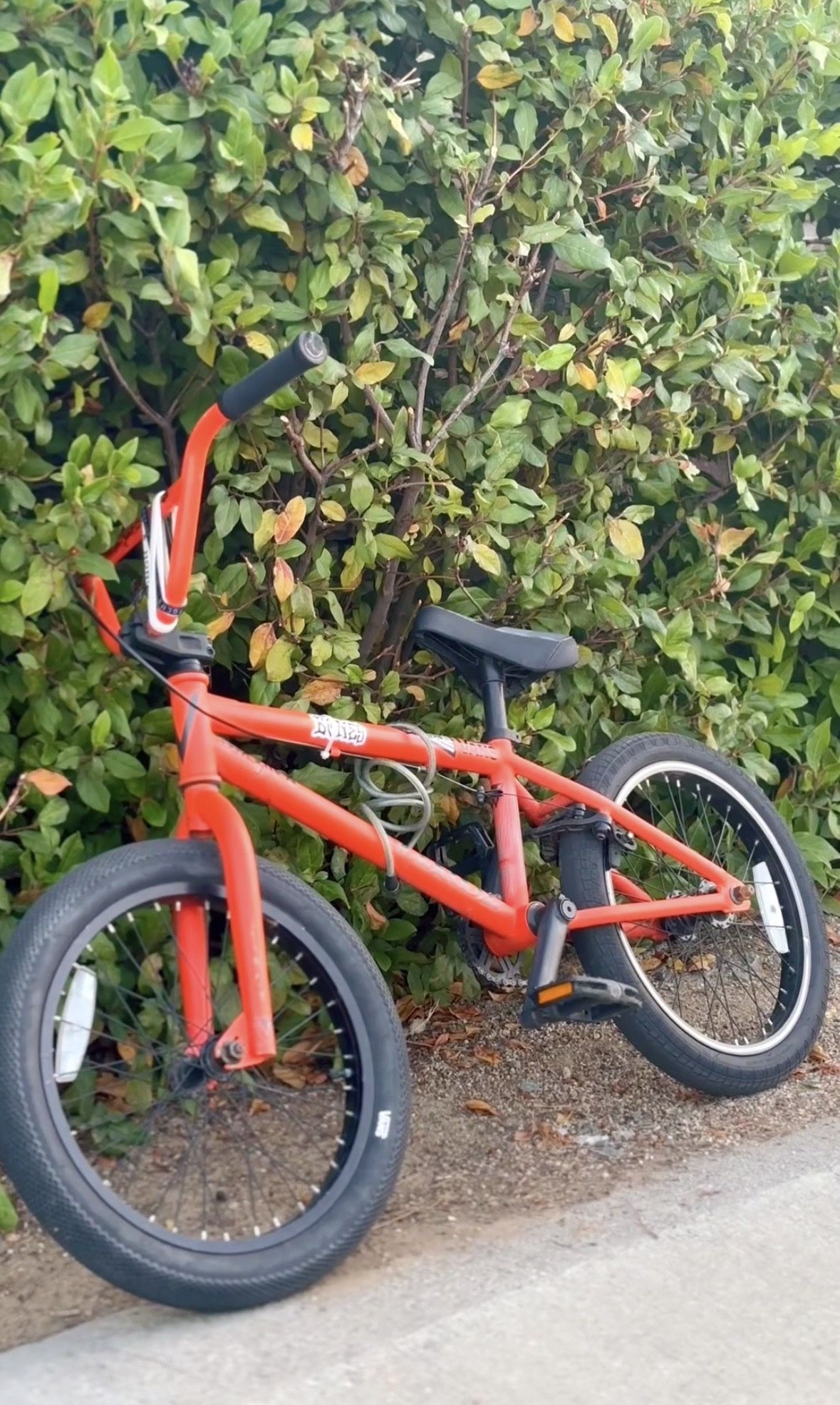 BMX 18’