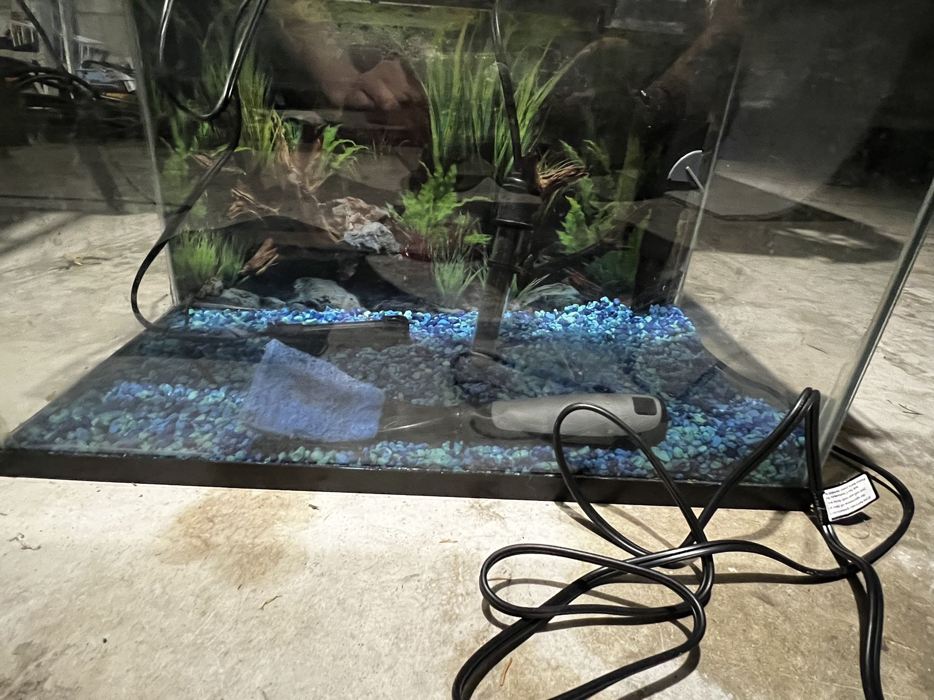 10 Gallon Fish Tank Setup With Led Light 