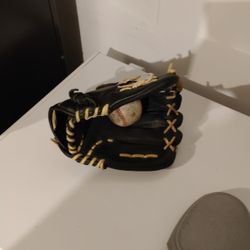 Franklin Pro Flex Baseball Glove
