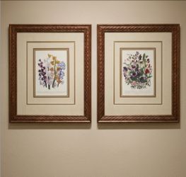 Set of Botanical Prints