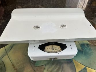 Borg Infant Scale