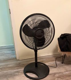 Black fan