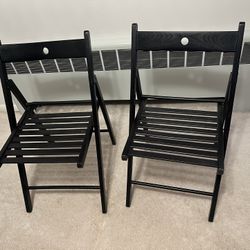 TERJE Folding Chairs Set Of 2