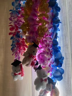 Hawaiian graduation