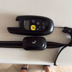 Dog Training Collar