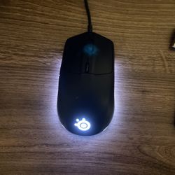 Rgb Steel series Keyboard And Mouse