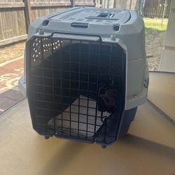 Cat Cage