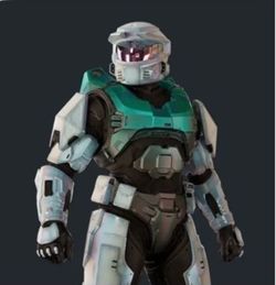 Halo Shadowfrost skin