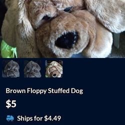 Floppy Dog 