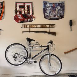 Schwinn Trail Way
