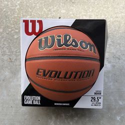 Wilson Evolution Basketball