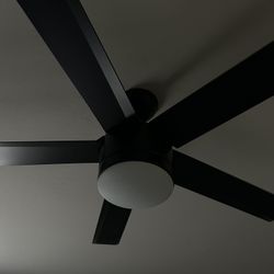 Ceiling Fan 