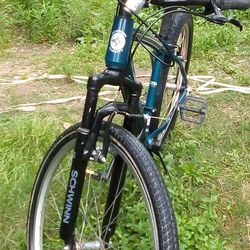 Schwin Bike 