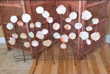 Cuadro De Conchas Buenas Condiciones 