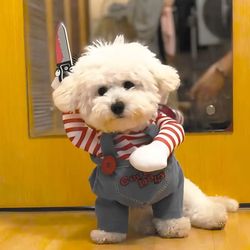 Halloween Dog Costume