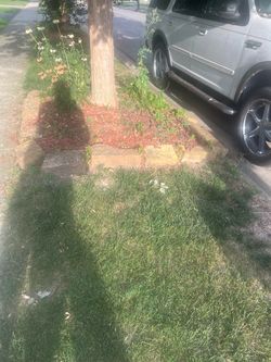 Landscape stones
