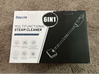 Steam cleaner