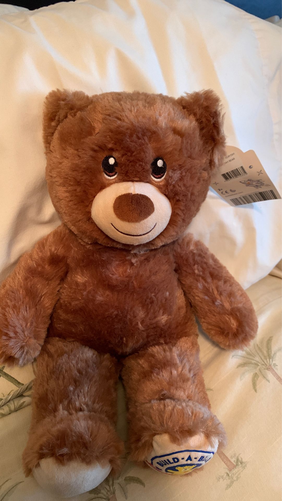 Build a Bear Teddy Day Bear