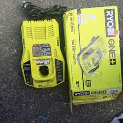 RYOBI P117 ONE+ 30 Minute INTELLIPORT 18 Volt Fast Battery Charger
