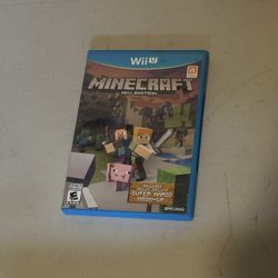 Minecraft Wii U