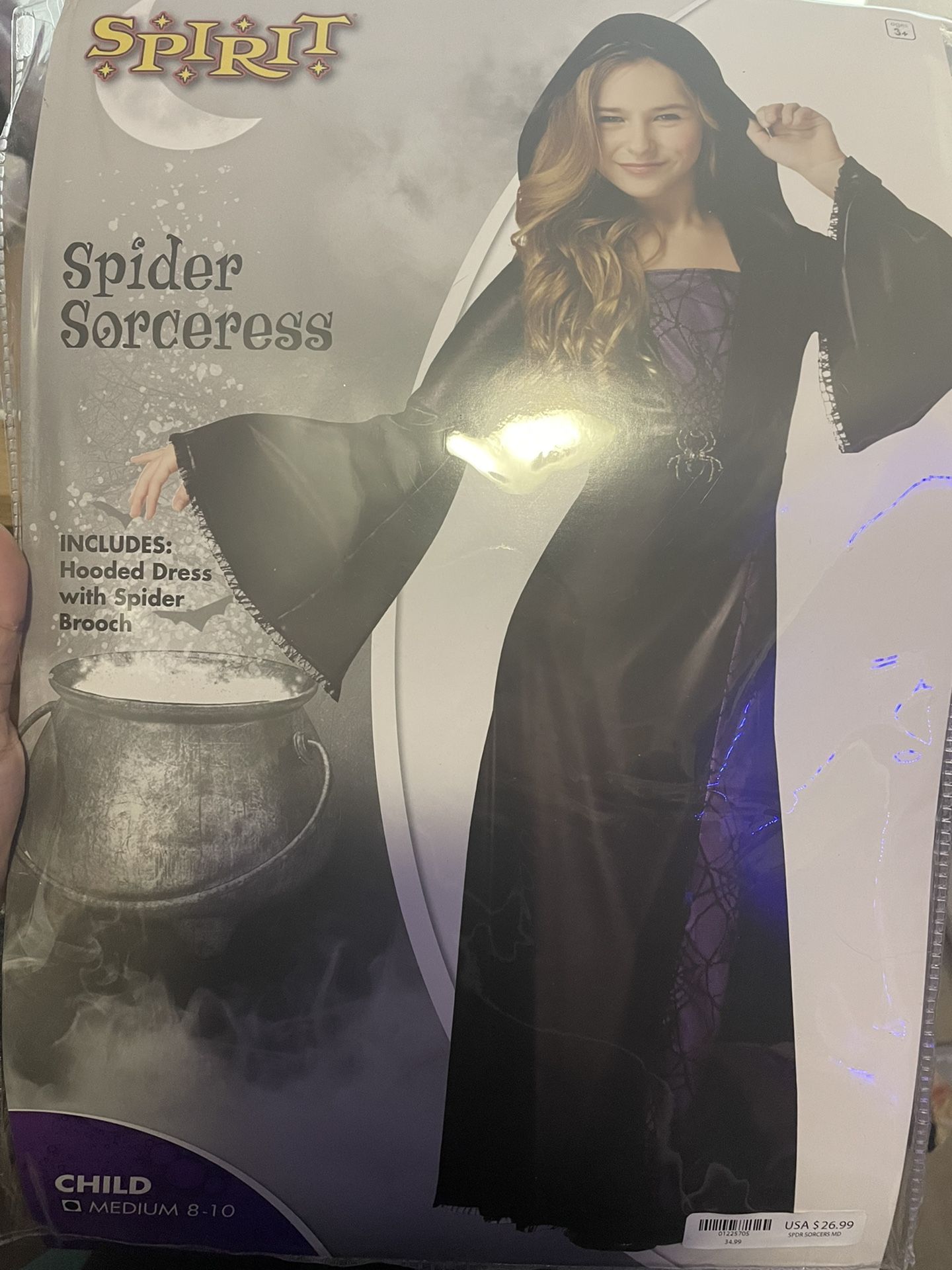 Spider Sorceress Halloween Costume