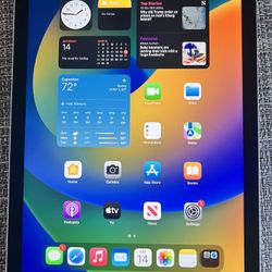 iPad Pro Perfect Condition 