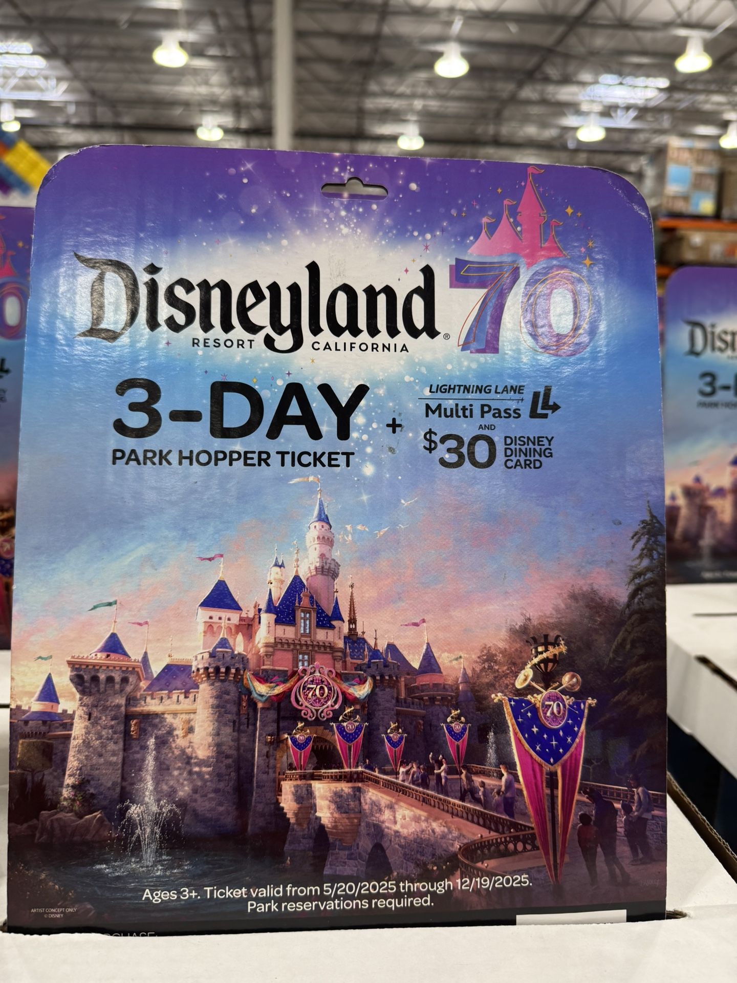 Disneyland 3 Day Pass