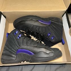 Jordan hot sale concord 12s