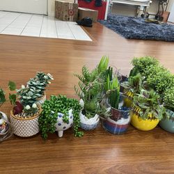 Brand New Artificial Succulents $5 To $8