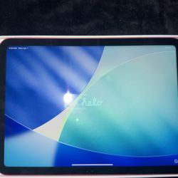 pink ipad 10th gen