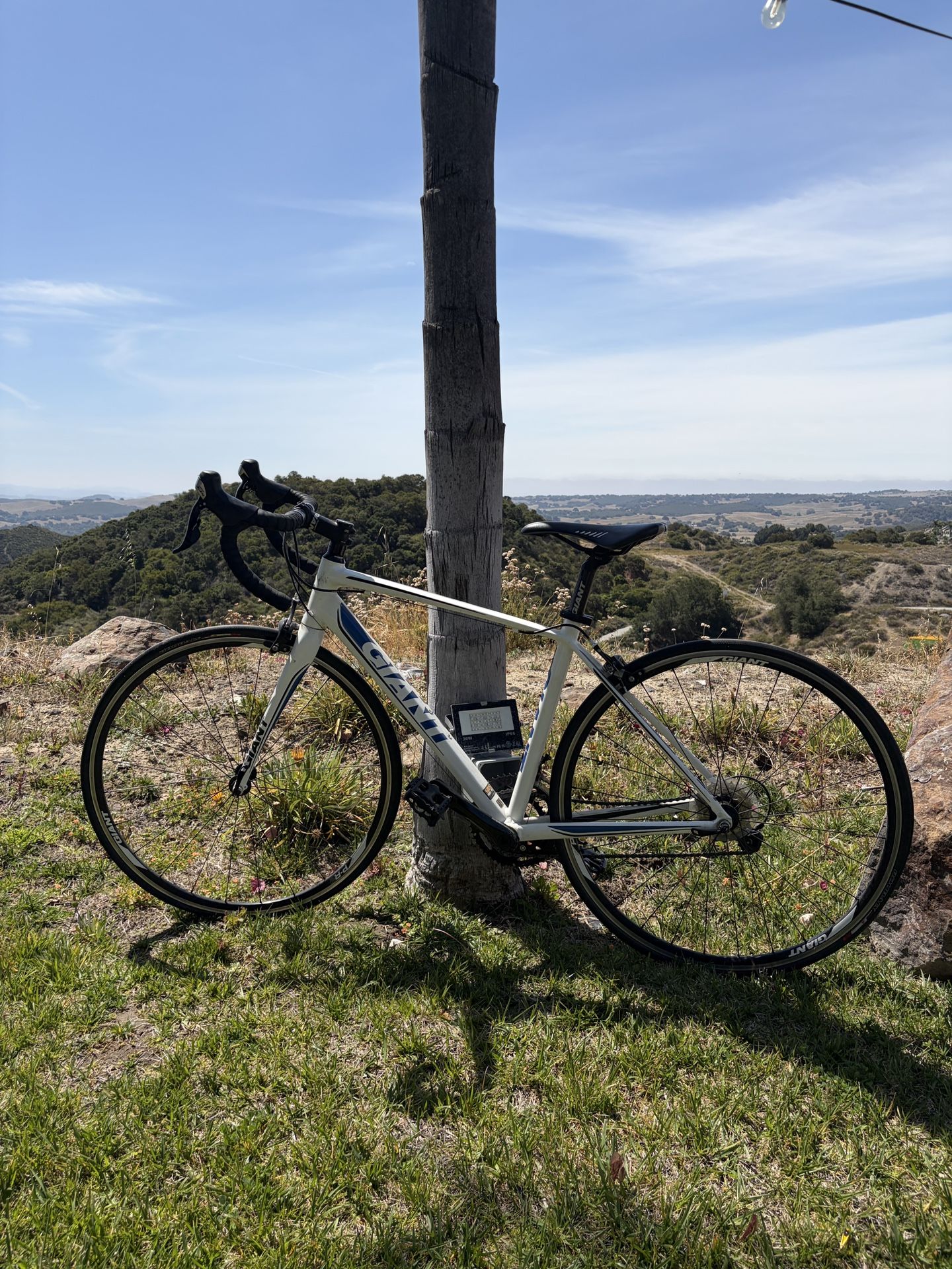 Giant Bike