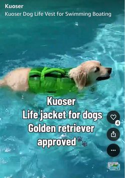 X-Large Life vest for swimming dogs