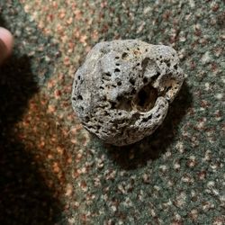 Volcanic Rock From Myrtle Beach 
