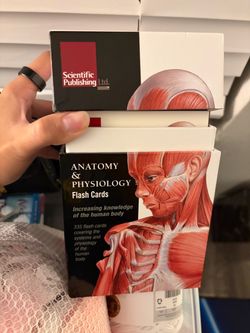 Anatomy and med terms flashcards