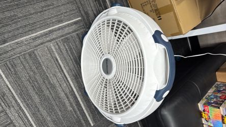 Fan