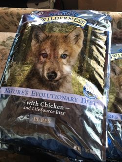 Puppy food
