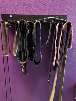 Wall-Mounted exercise booty band holder with bands