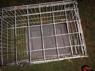 Metal dog crate with bed