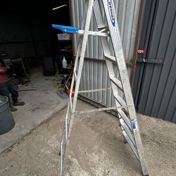 8ft Aluminum Ladder 