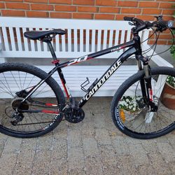 Cannondale Trail 5