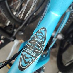 Schwinn ranger 24 inch wheels