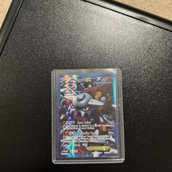 Pokemon Heatran-EX #109/116