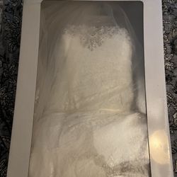 David’s Bridal Mermaid Corset 