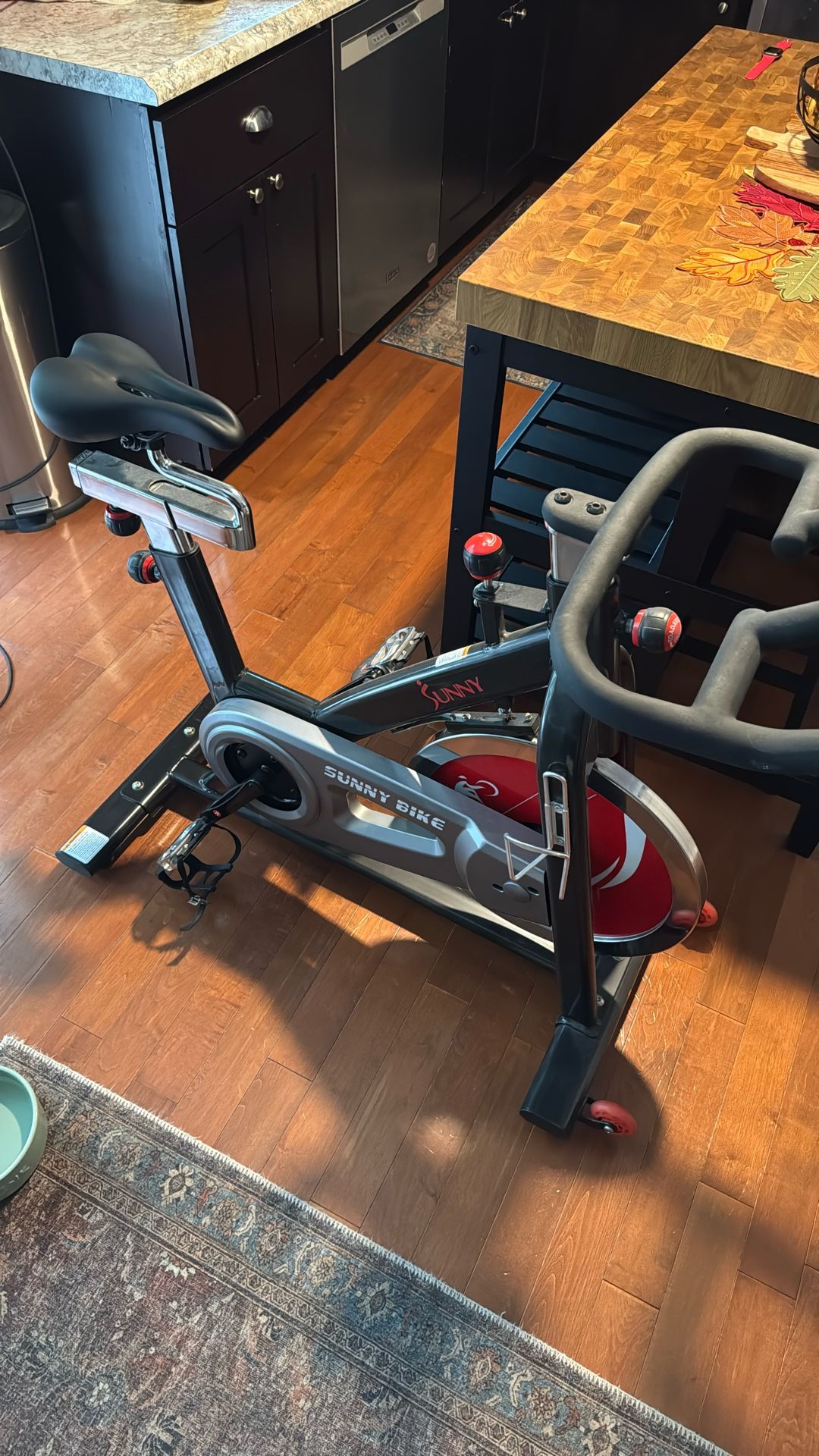 Exercise Bike