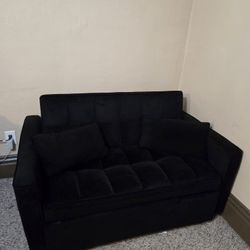 Love Seat/ Sleeper Couch