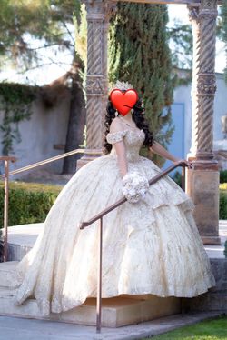 Quinceañera Dress